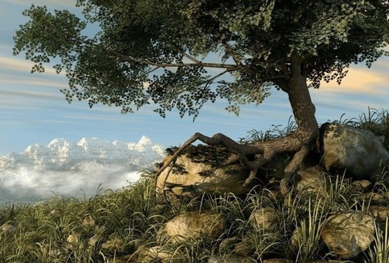 roots-3