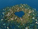 Cuore Antonella 1024x768