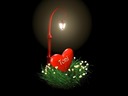 Cuore Toni