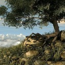 Roots